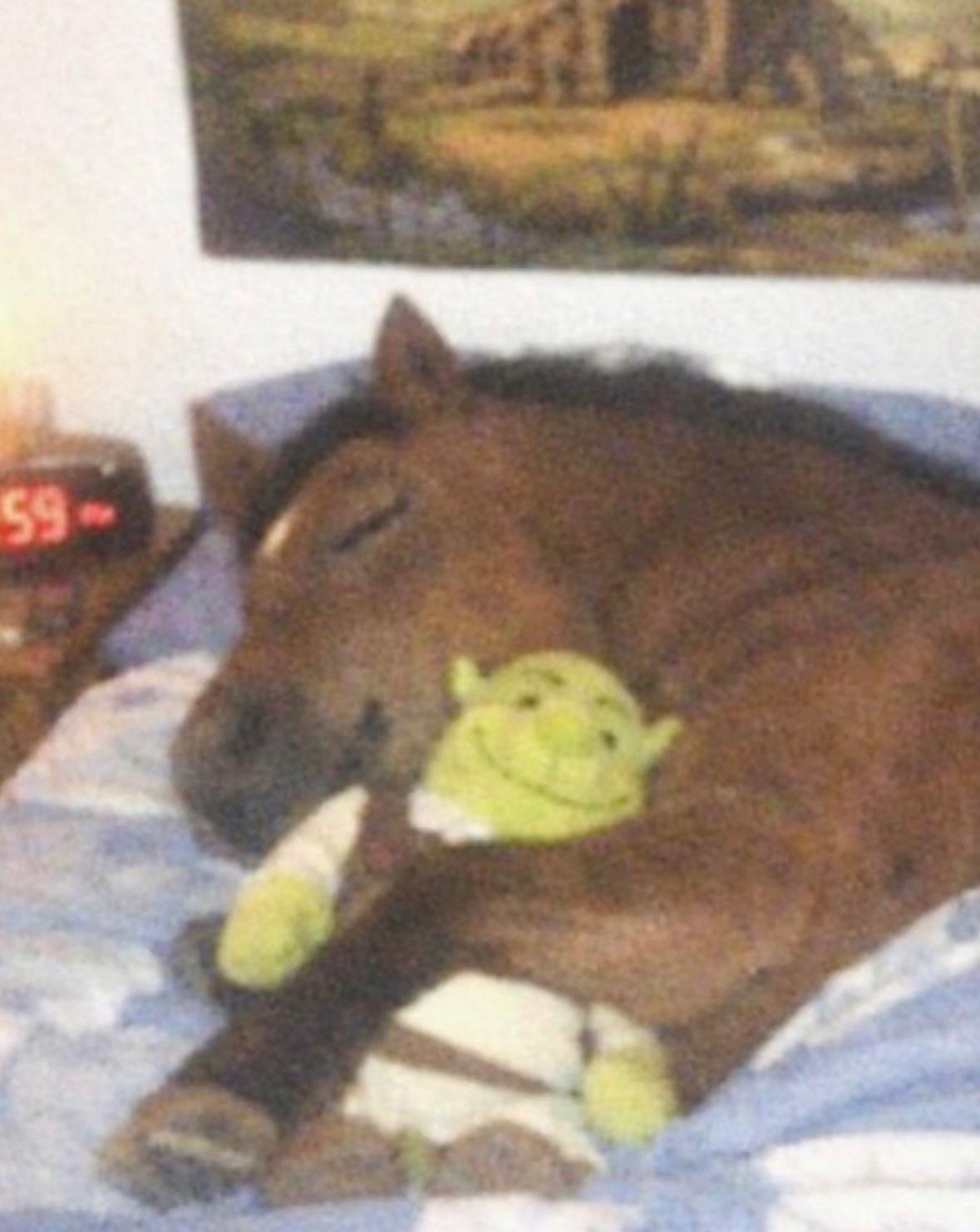 992d8abd-9733-4a82-adcd-630a03510d70