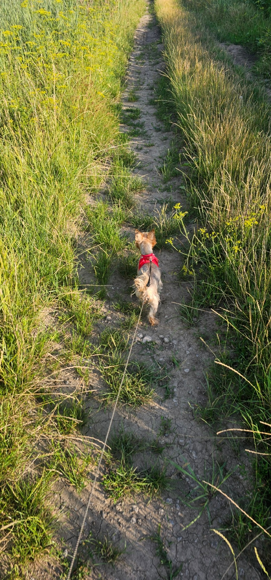 9348a08d-da42-4dfc-9ad8-da78fb6039f2