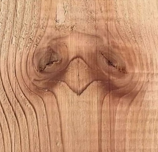 9512ad9f-44f0-420a-b478-30a66694818a