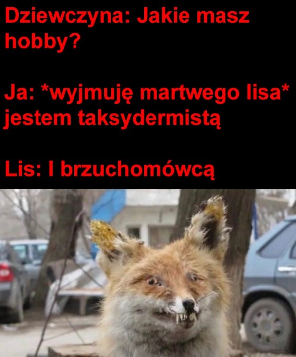 e2df9658-01f9-4641-a624-1f1d3990b507