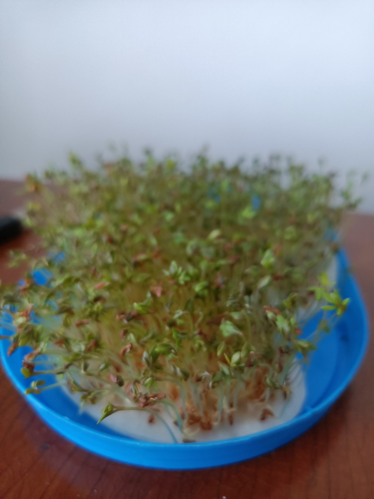 de237722-790b-40ae-bb53-0f7ff7658e7a