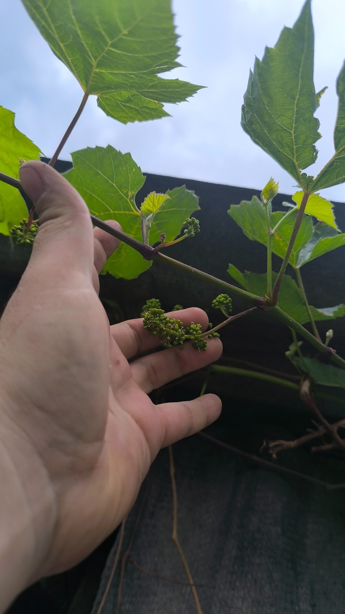 f8c66ab9-75c7-4fcd-88ce-17bde5ff4327