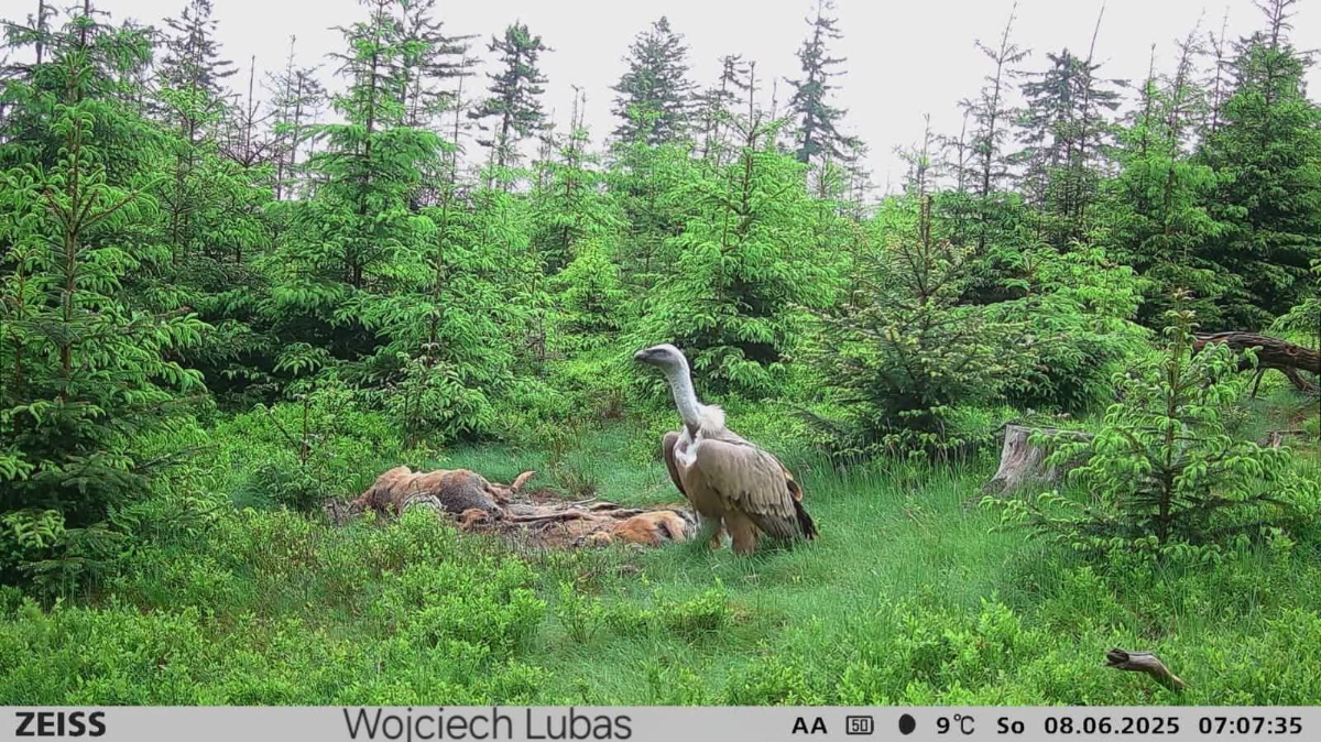 e8b04e25-3ebf-4e12-a2af-a2576163b8b5