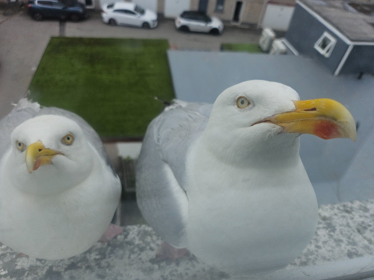 f6a8204d-2cd6-4053-b346-013e3c8c597d