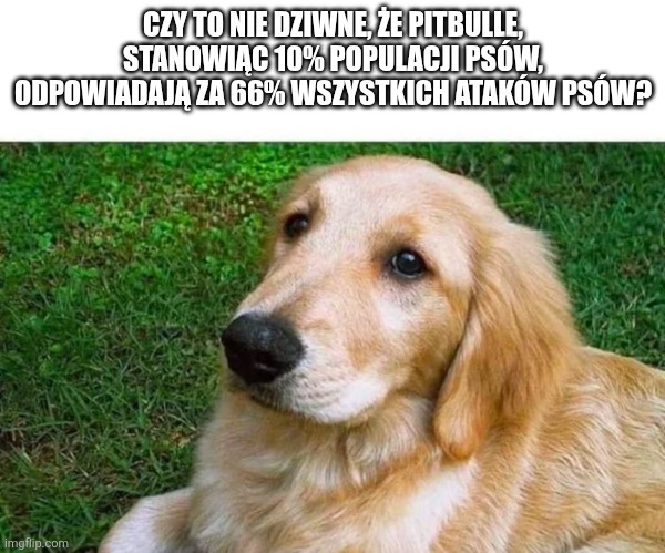 d4e60b85-0535-4db1-b5cf-2c3c51be563e