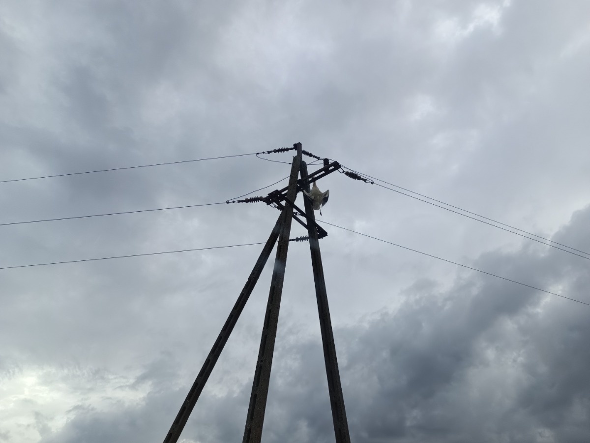 235723e5-bf81-4523-8f00-65943a33e272