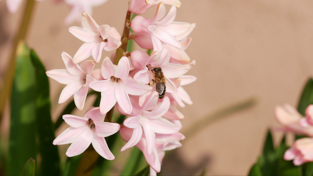 f5847d97-20e0-449c-abe5-1d4949b5bd23