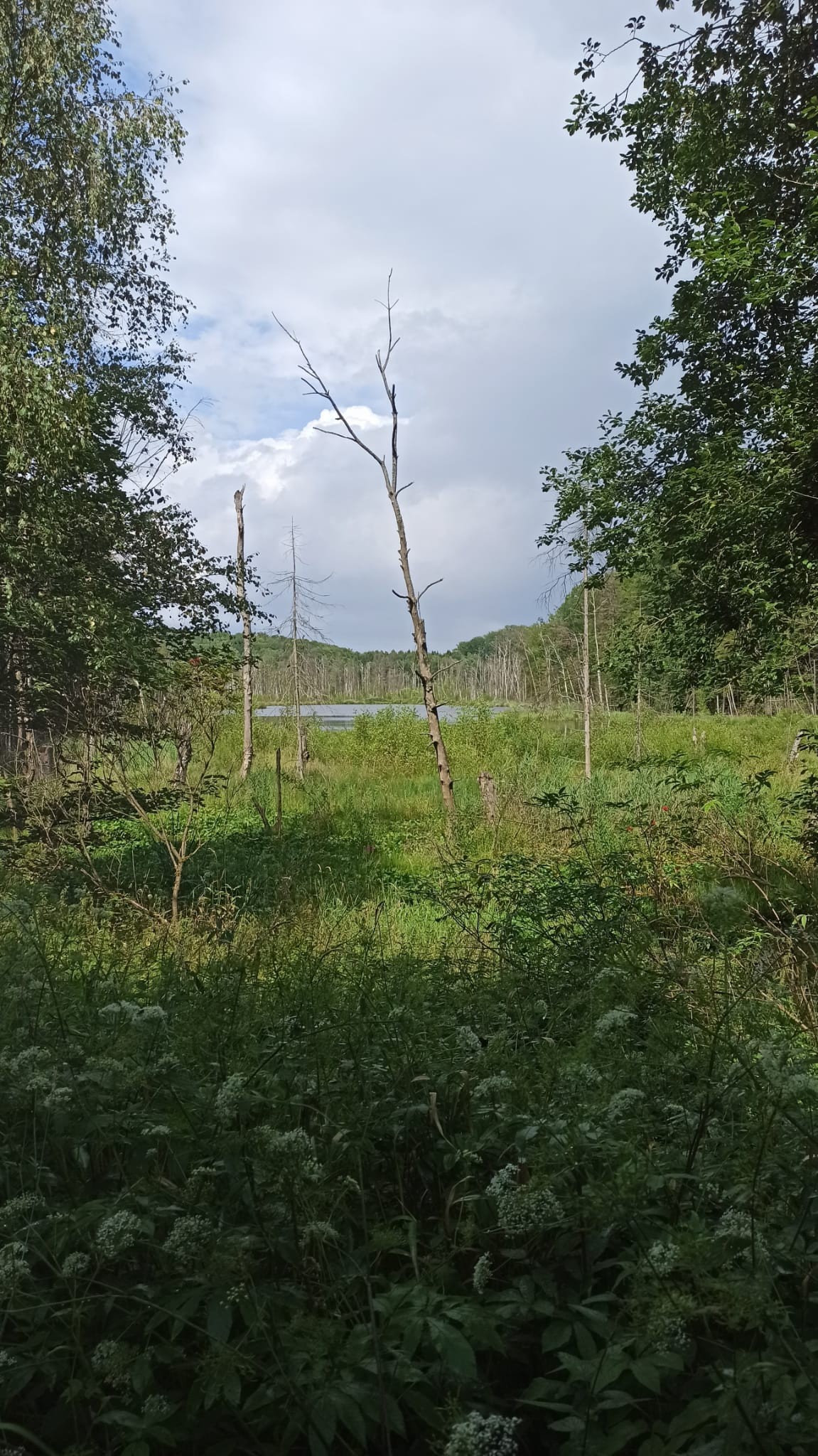 c1f67eb6-2cc0-441f-ab8a-ae655651174a