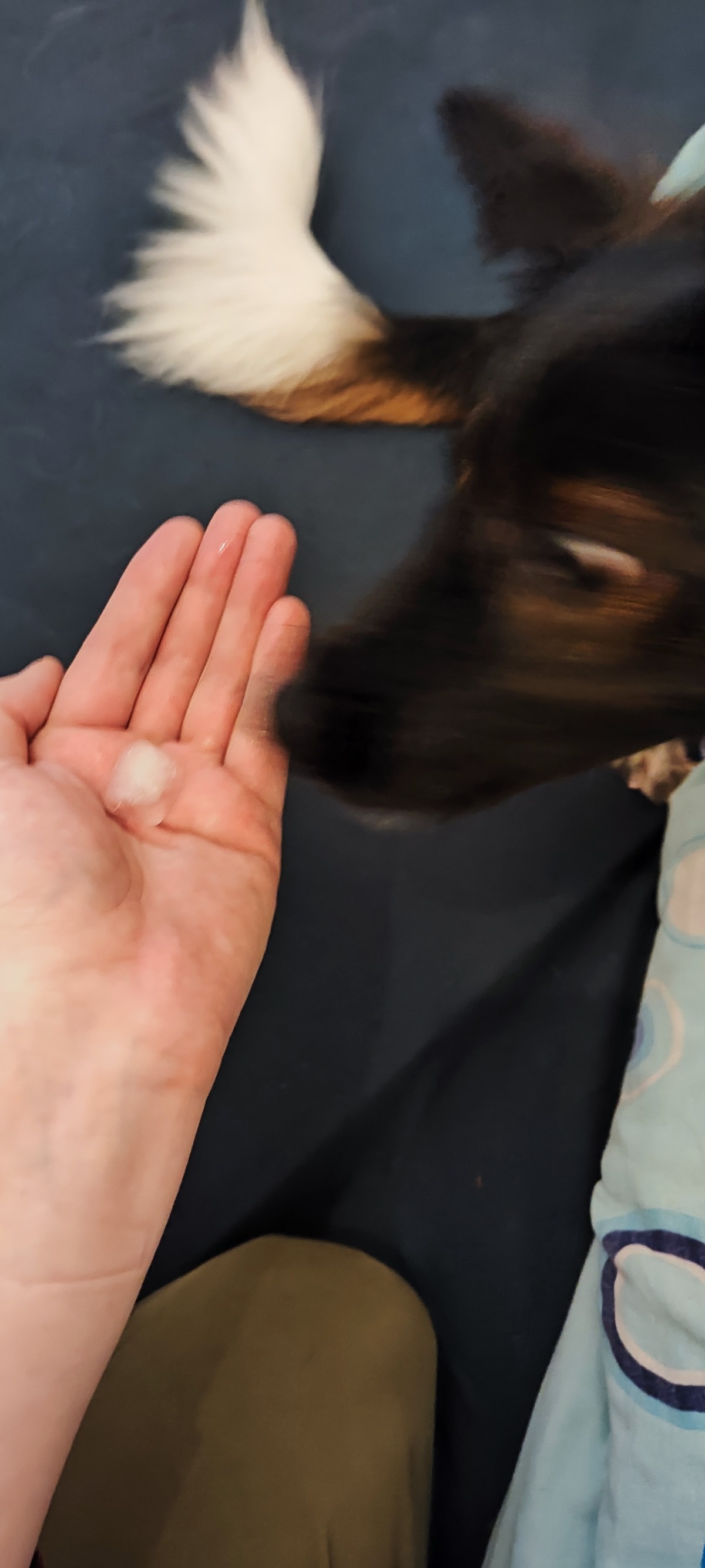 0af7a9c5-e92a-45a7-be81-d7d3f8e5bbbb