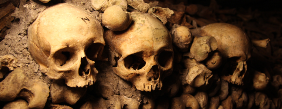 Tunele pod Paryżem. Mroczna historia, miliony ofiar w katakumbach