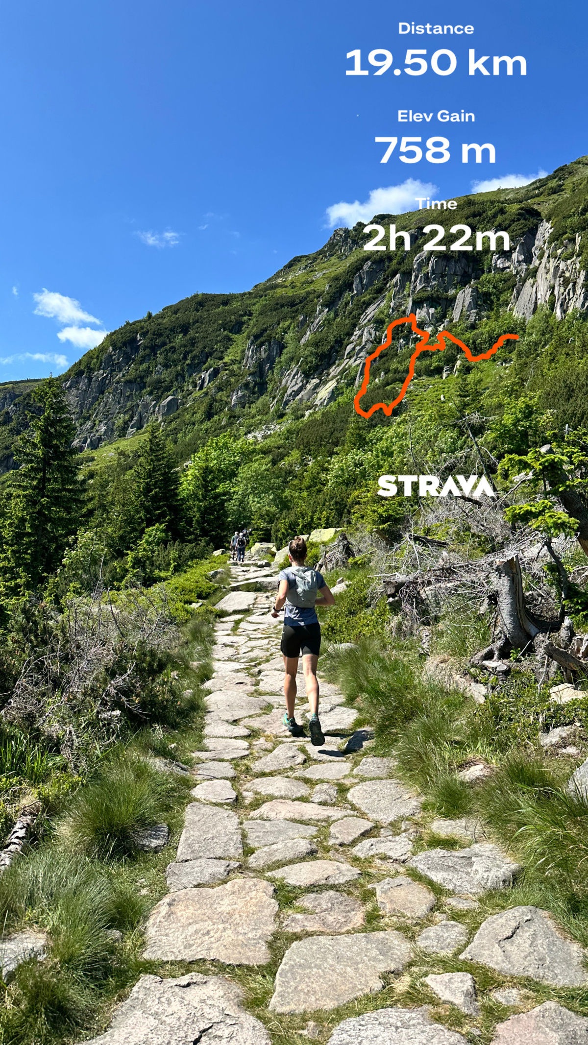 d088fe35-84ba-4d0c-9814-615b3d439ff4