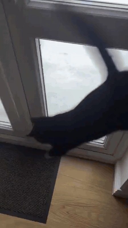 926f4782-fd1d-44cf-9b47-c00bec7483f8