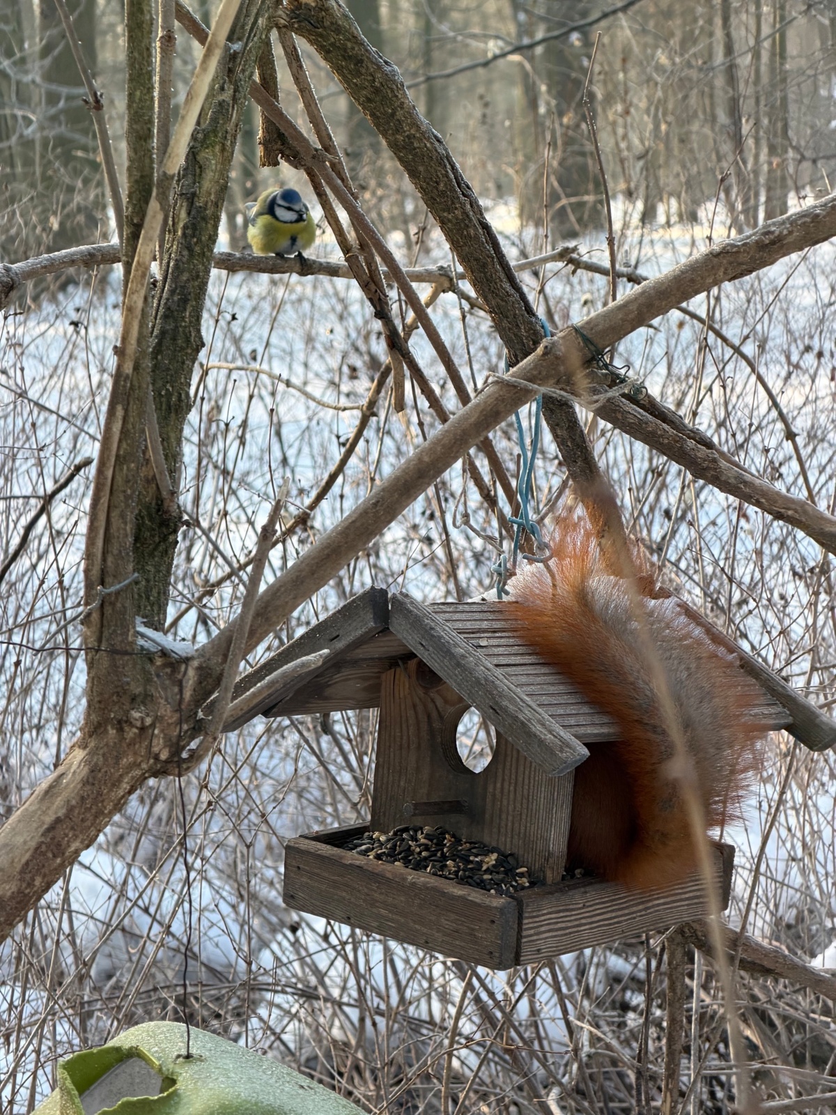 6f4717f1-d25e-4161-b6ae-8d373750c9d1