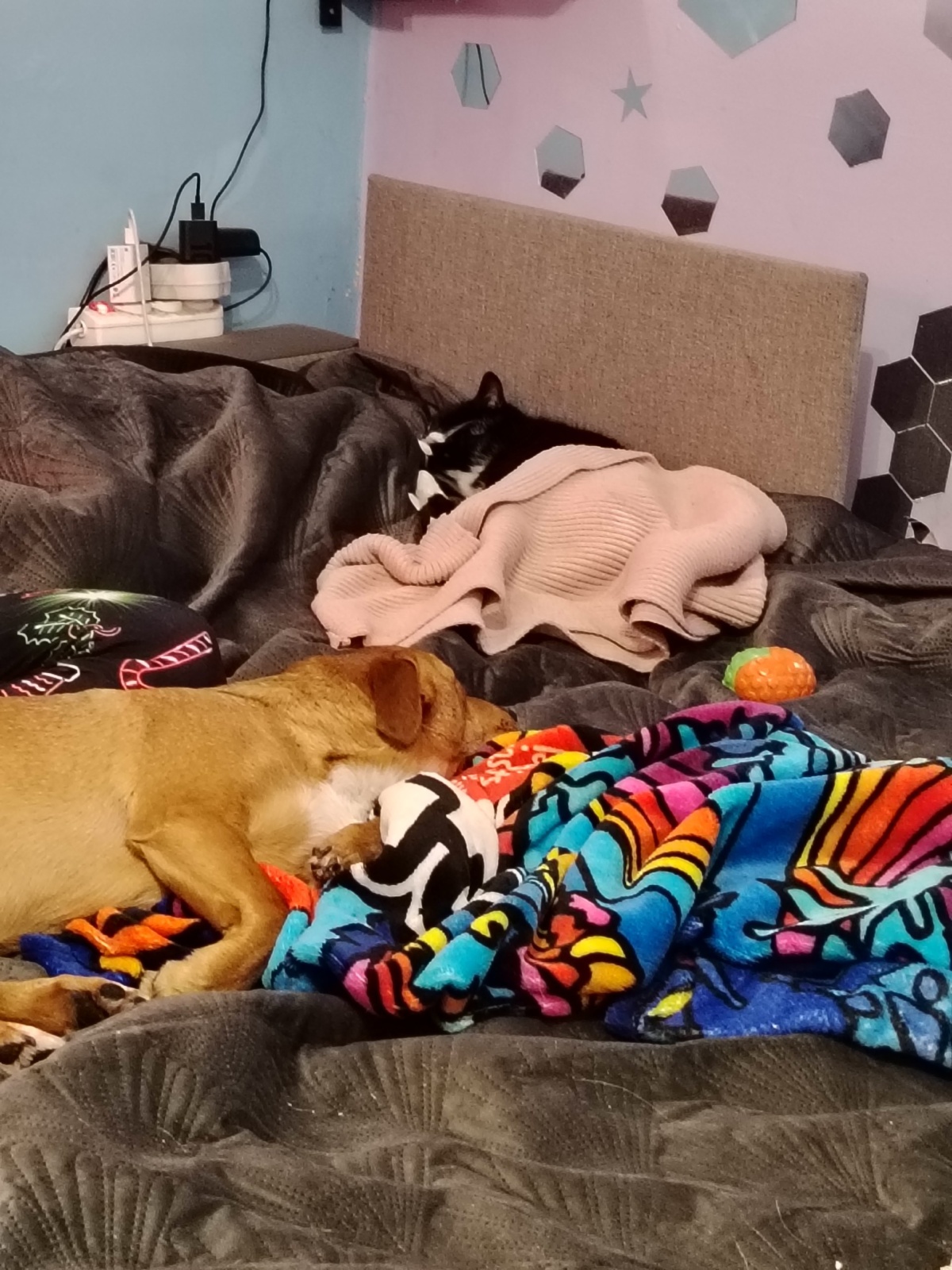 2cd36f8b-b2b9-4098-ab46-820ebbc54bb1