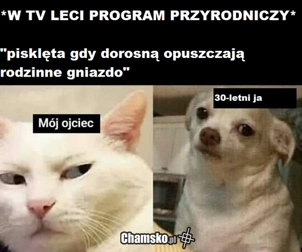 ed83c22b-b07a-4d72-a6e7-3611b09e1844