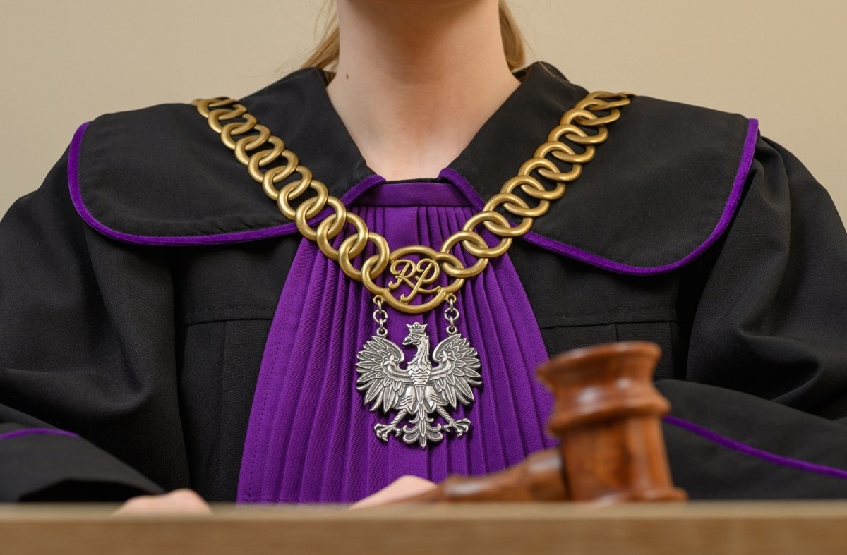 Wyrok ws. 70-latka, który zabił 80-letniego w wyniku sporu o drzewa na miedzy