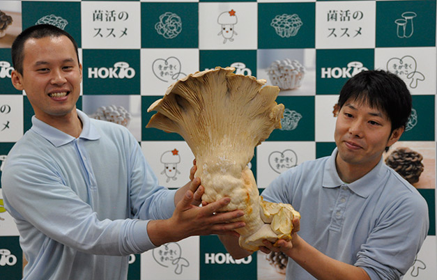 3c3bb045-e43b-4a53-b72b-a82c2c18f40a