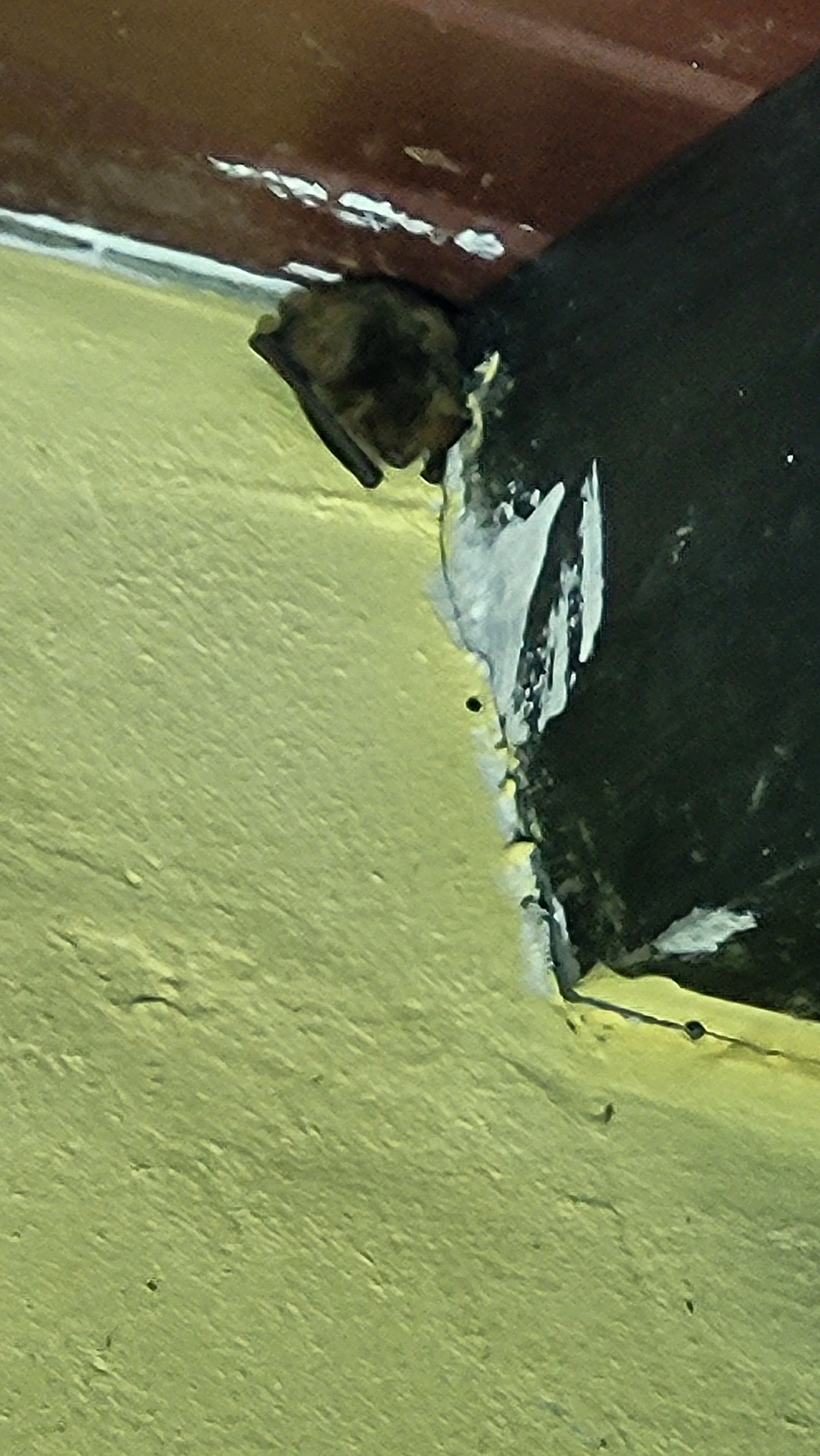 d8c5c12b-29b3-4723-bd65-e83cd99e4def