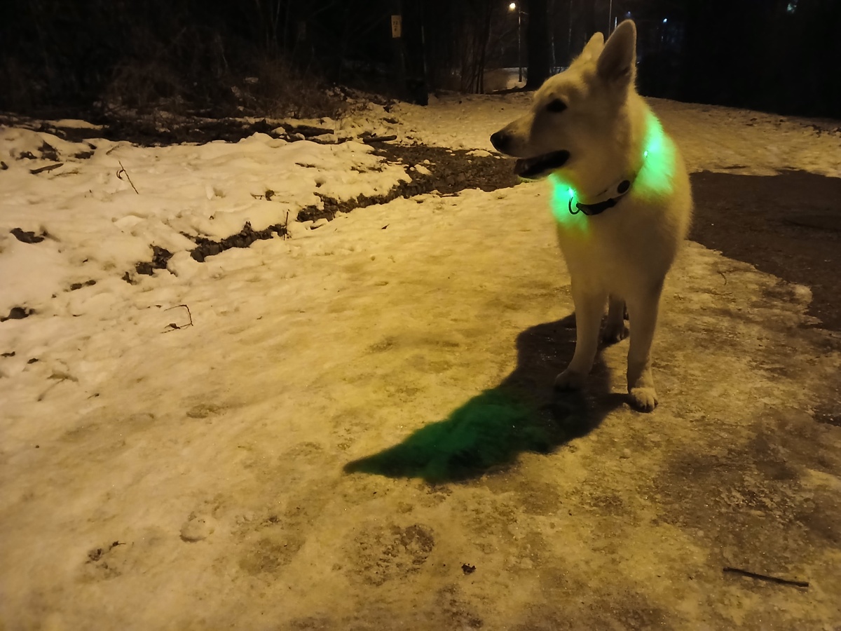 2537085b-06a6-4f64-86f5-cdfe4abade05