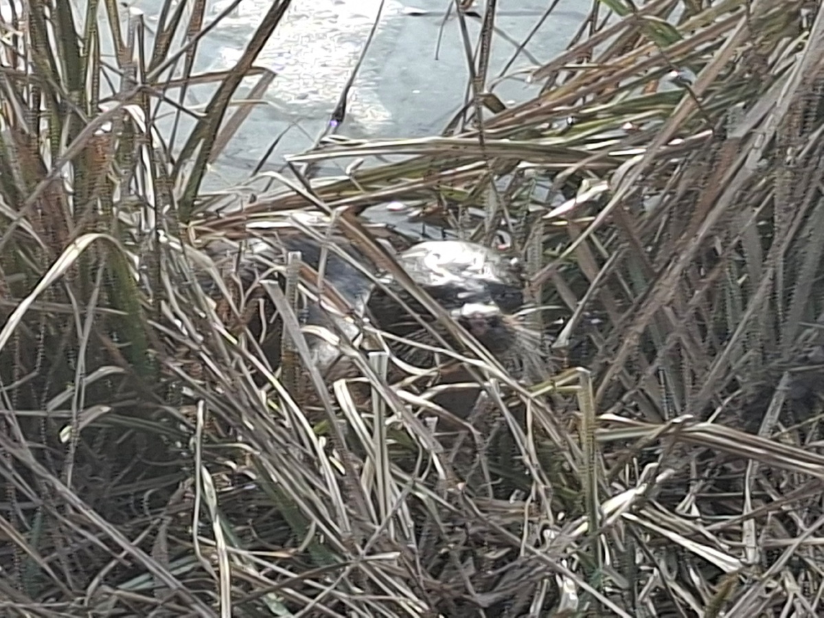 6e93af5b-25fe-423a-9f72-ae17d2d5d994