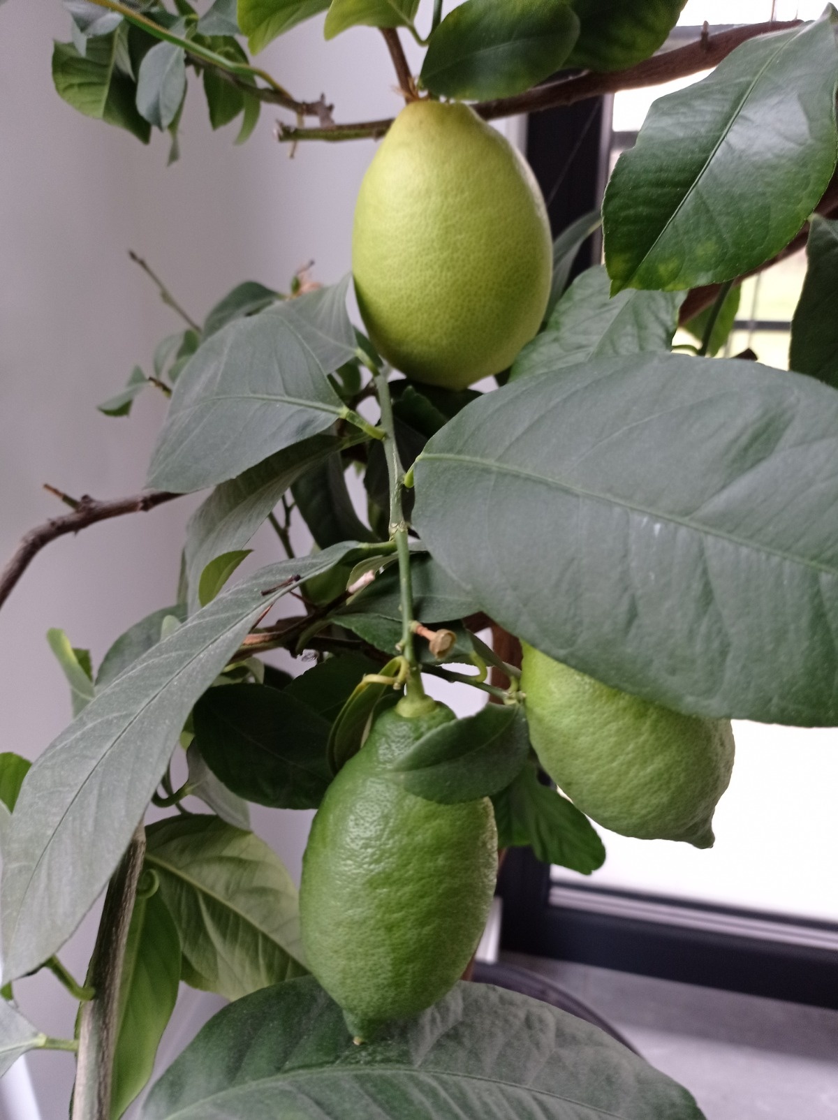 5fdc8792-b464-41ac-800f-8e0109512a72