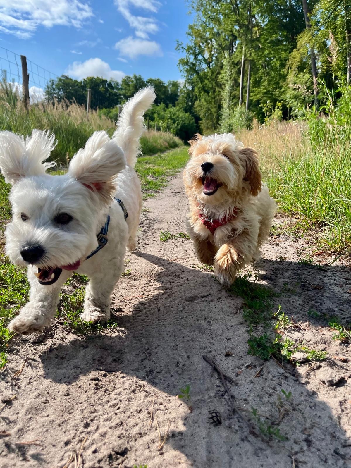 7ee23b75-965f-492d-88da-32dd16925e40