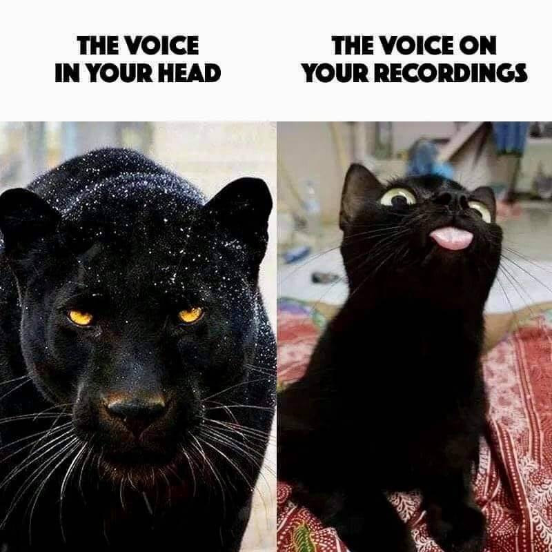 4098f50f-3a7b-4772-a0ac-351884ec67fd