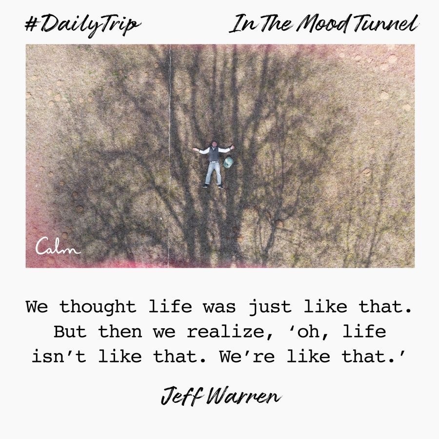 d265a7c2-4eda-4e65-ae66-b9a28dc5fcf5