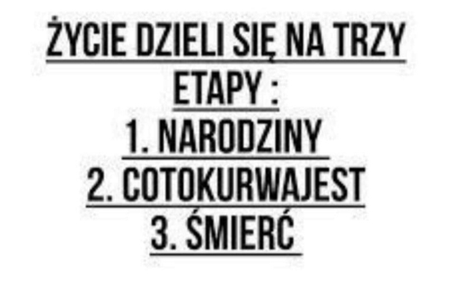 255a1689-e4bc-4b30-8edf-ead166639317