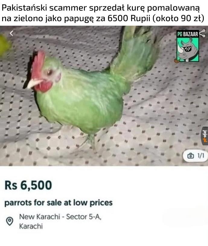 c9cd7941-0c8c-47e4-a794-e5e8da984274