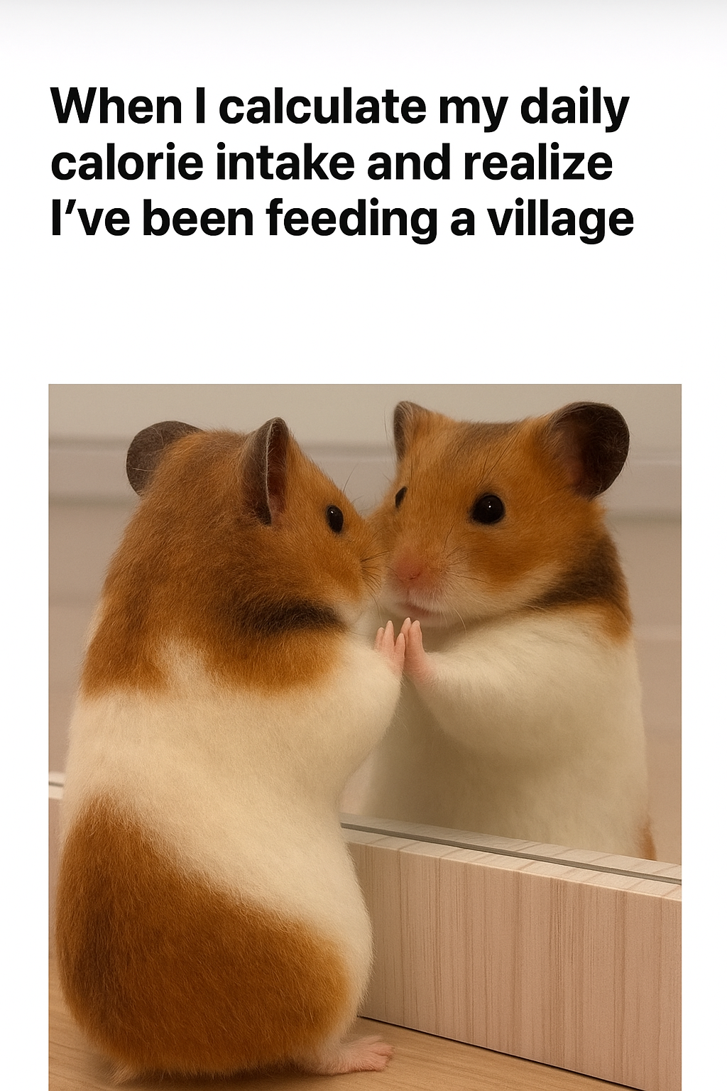 50c3c3bb-e2f2-40f1-819b-c1388b7d5e68