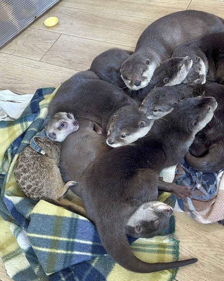 e1c45b70-752e-4202-be49-bb3280da3f11