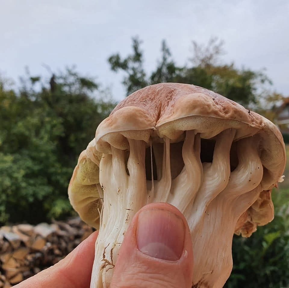 d2b30030-e148-41a8-8d2e-1db9036a045f