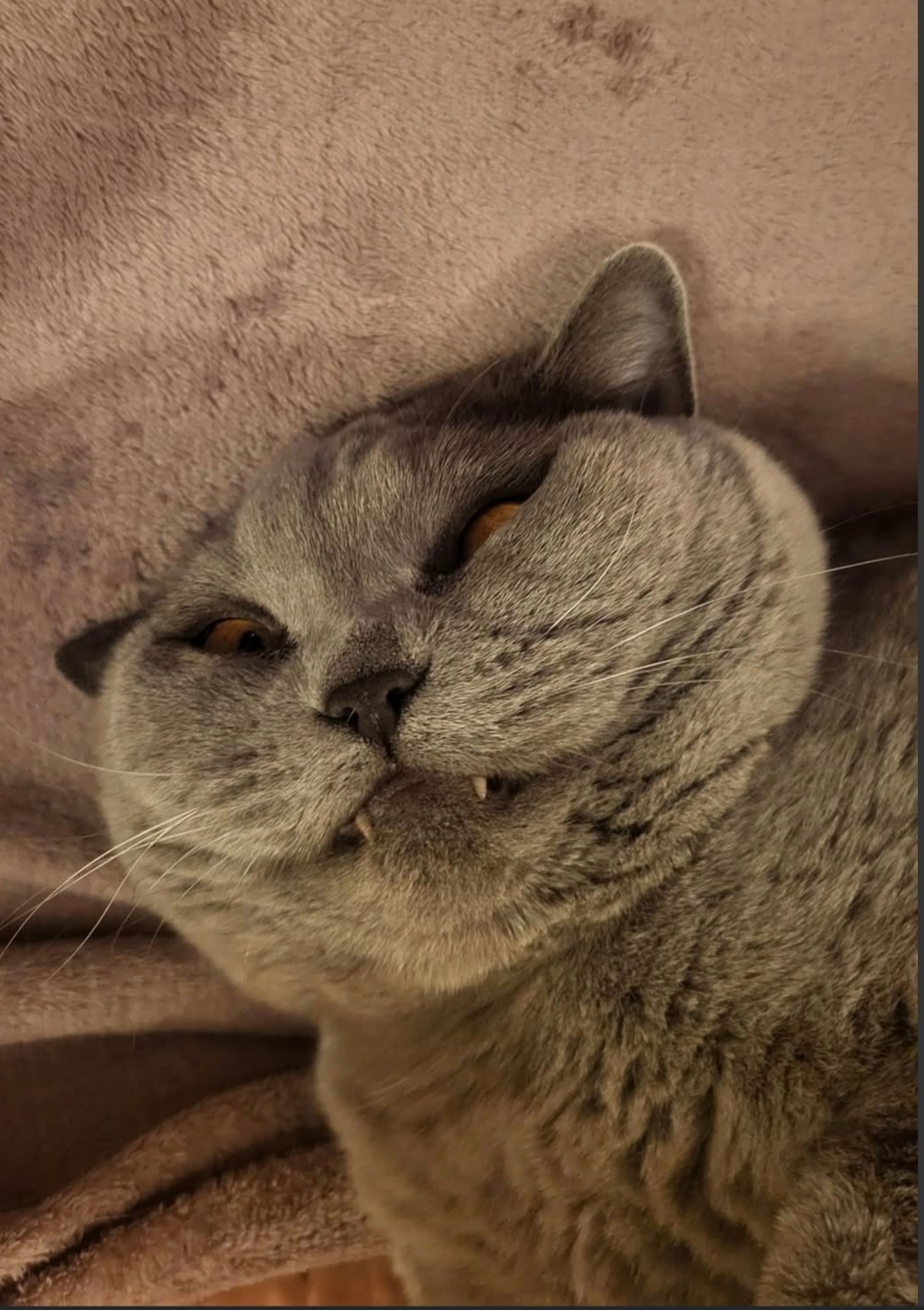 a48d2665-bed4-472c-9910-b3f71dbc1ec9