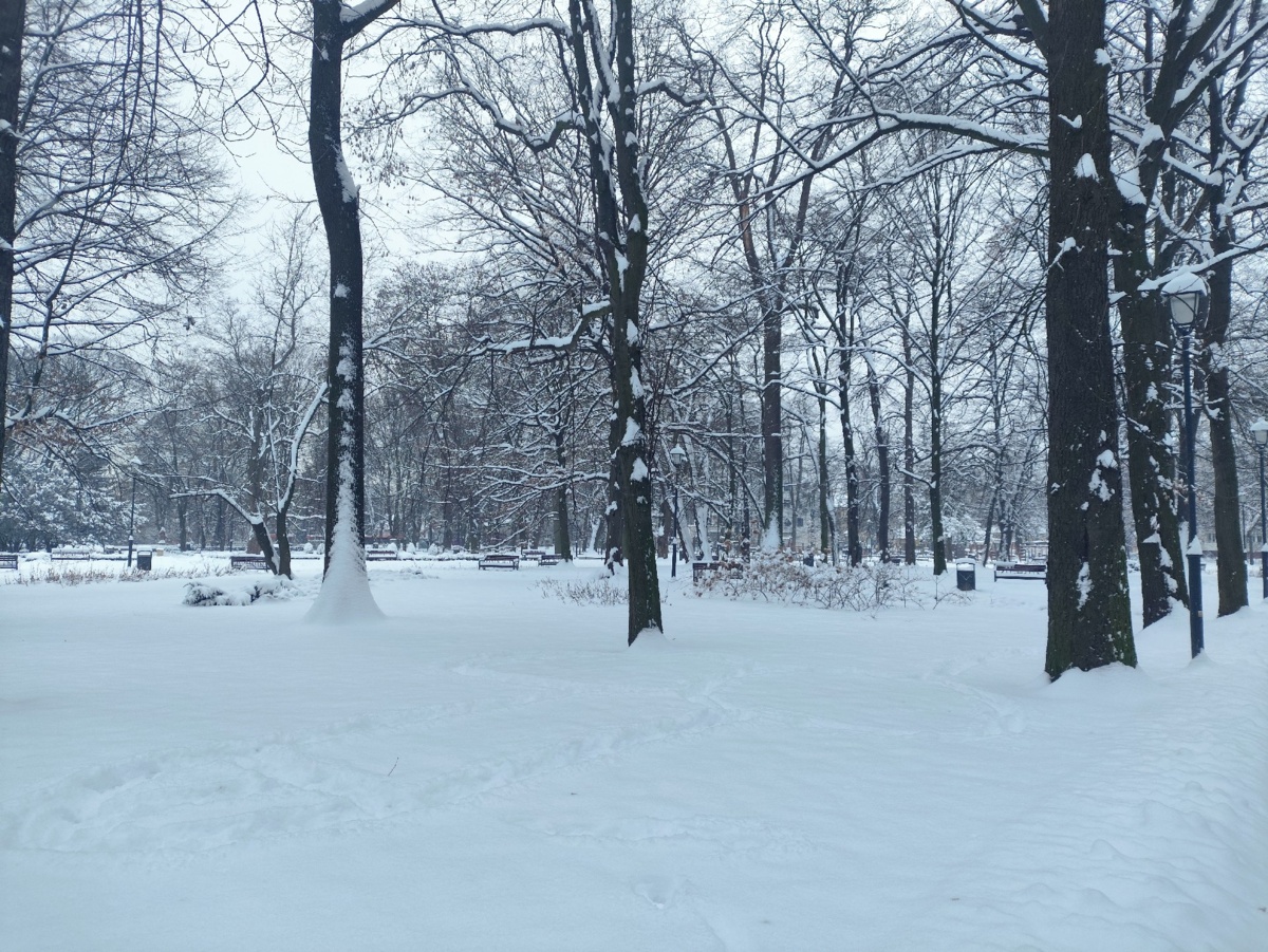 7d88afd7-e249-4861-a616-63e01221f508