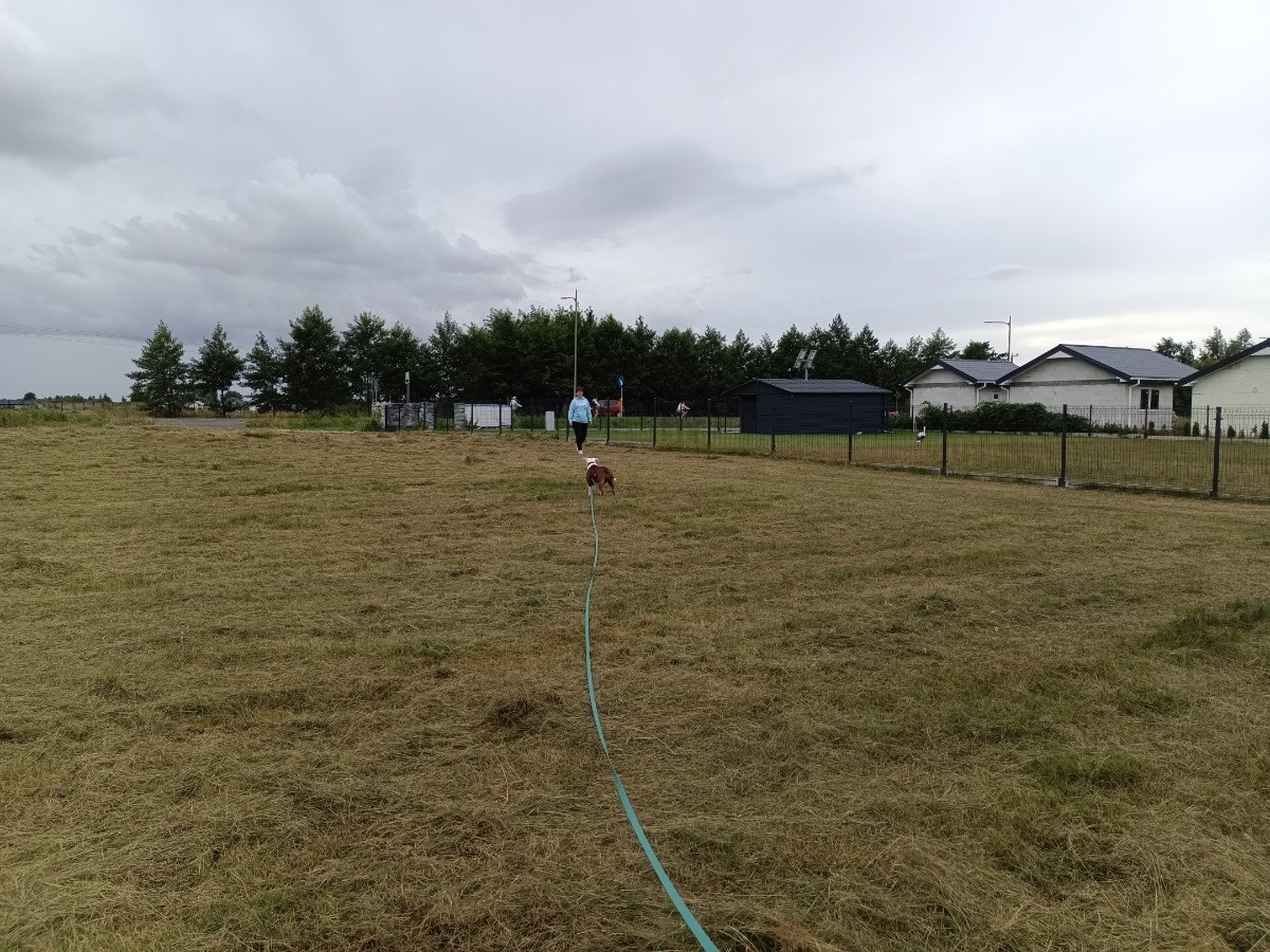 56a2ee59-e2b5-4eaa-a9da-d6f285bd443a