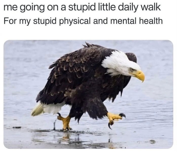 9b665856-3a62-4fe0-9204-fafc342ed278