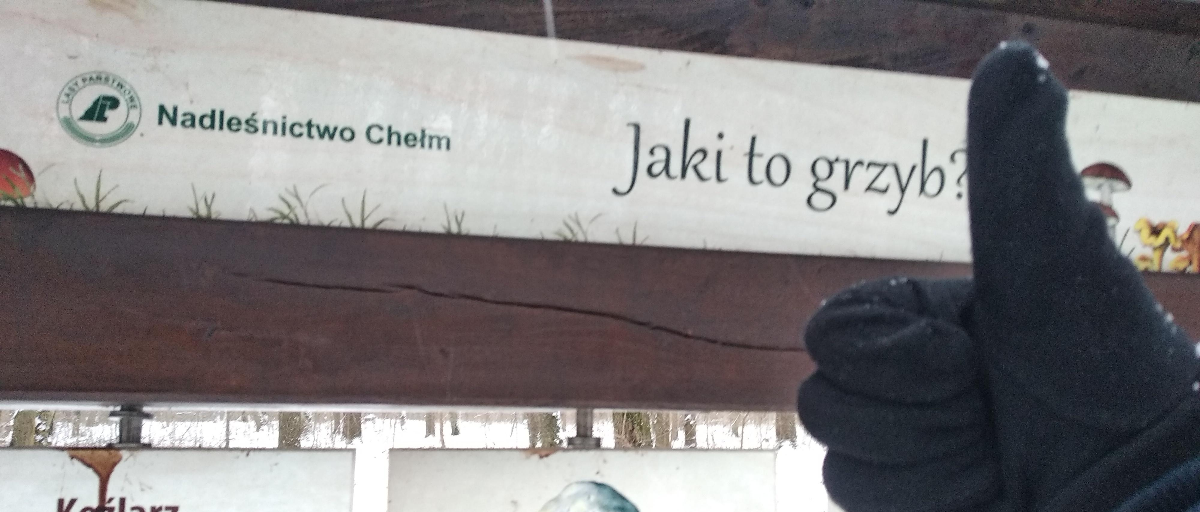 1b55376a-dd02-4b9e-90bf-a42d36718584