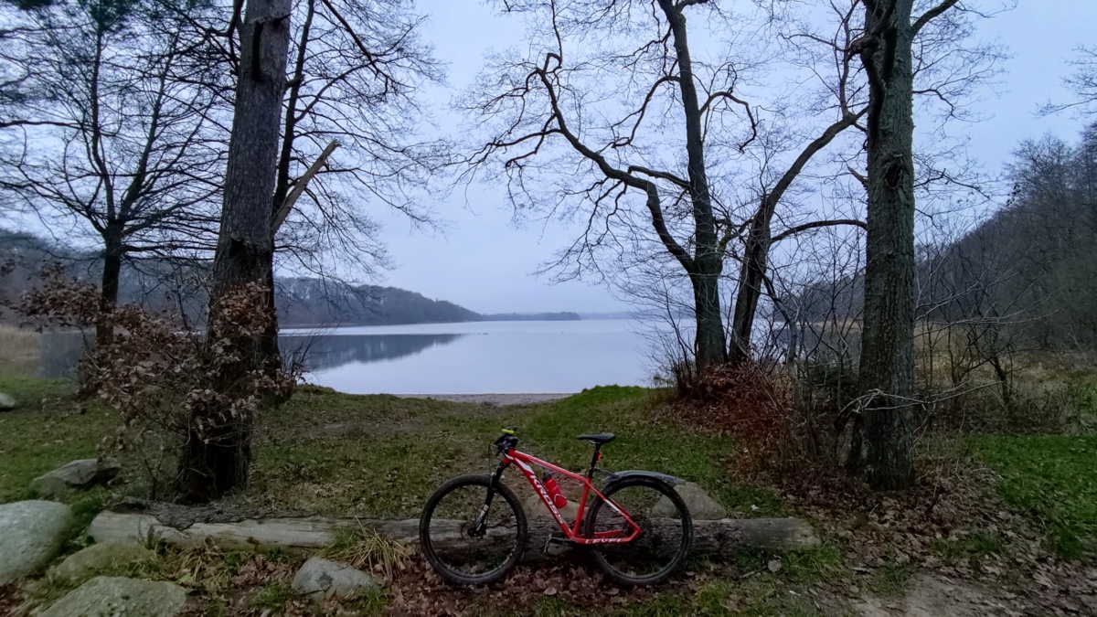 797ef24a-5f56-497b-bda4-9d7823c6cdcb