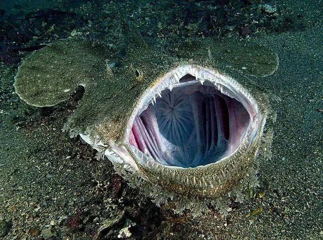 e6b7bef5-f2e3-4f3e-bc27-8aecbdb85c39