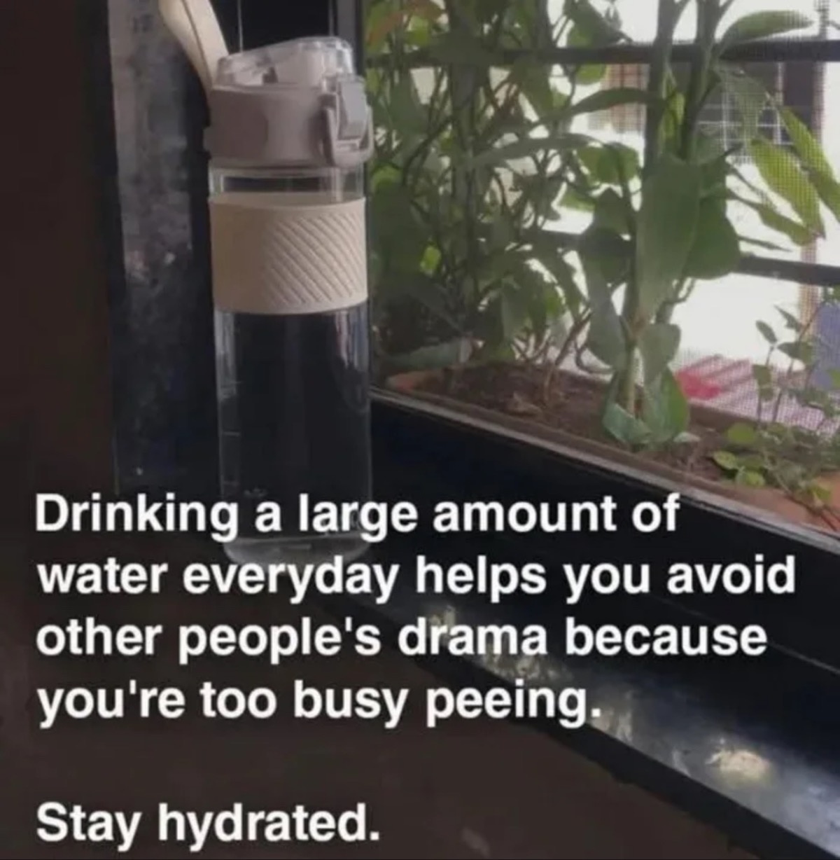 8d41cbdd-c0f1-4a15-ad07-af227b110df5