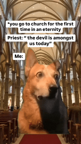 2a61bcbe-66d7-475c-a363-5d25affa3ee1