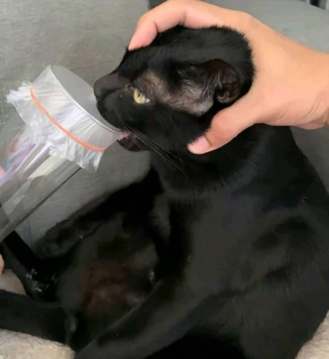 2b480b87-76af-4b42-bd1e-57a8269ca583