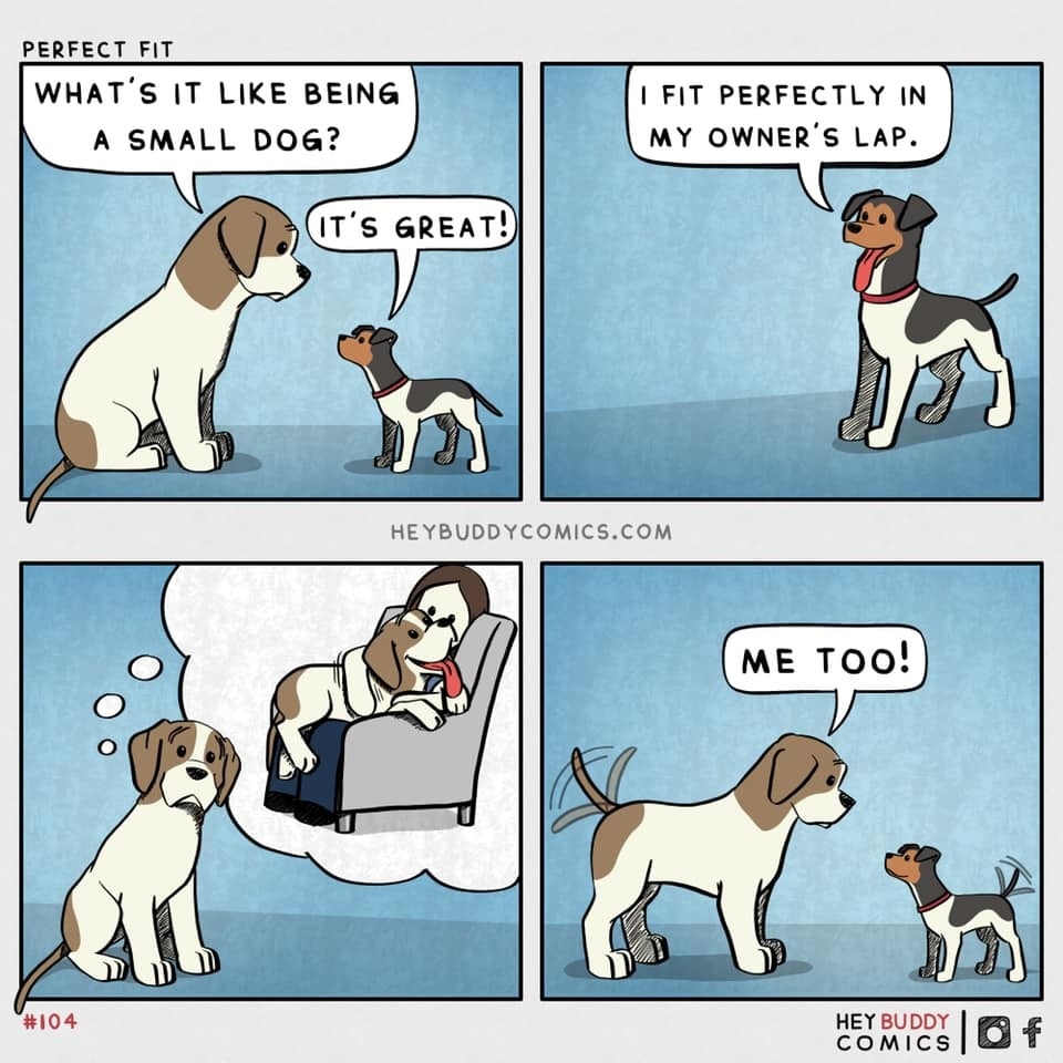 3654dbed-fecc-46df-a4db-fc9fbbfd7e41