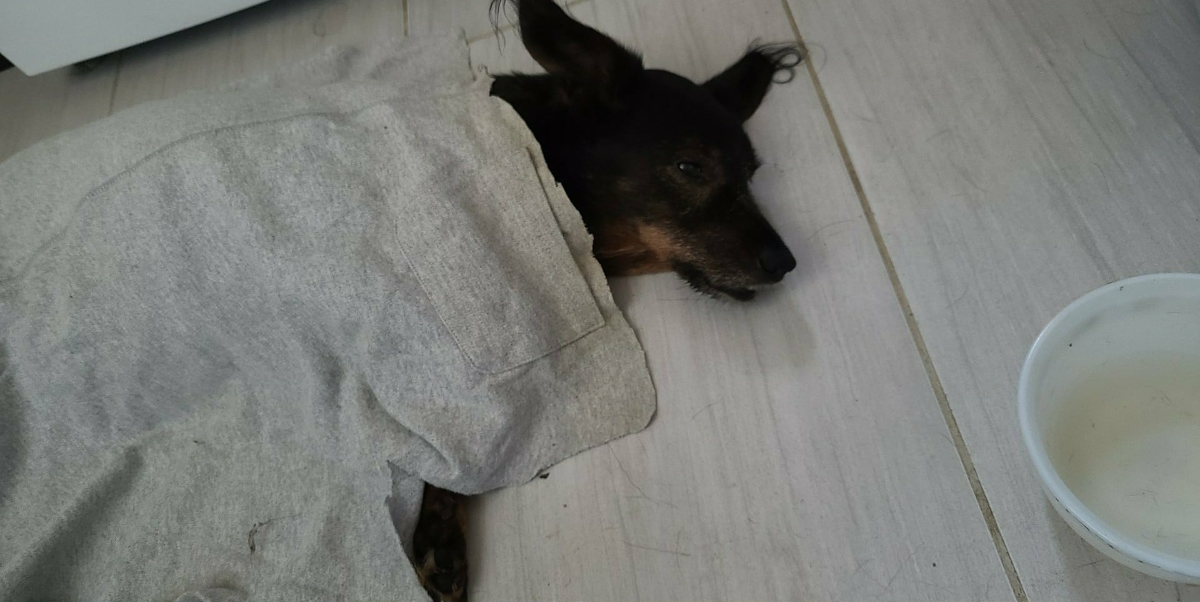 37259137-b43a-4299-bd9e-0f47b0e80cbb