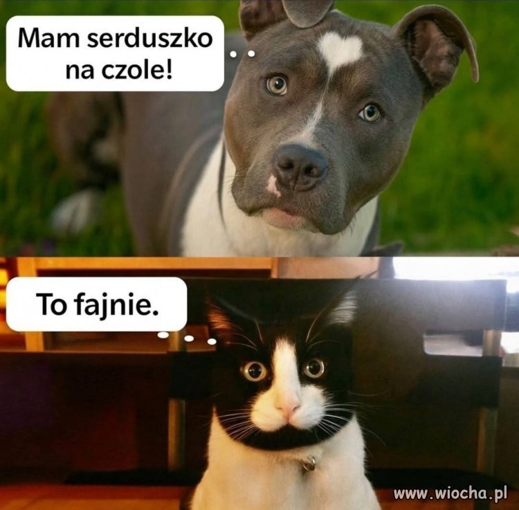 be51e9d5-515f-4a19-b3d2-316984cdd186