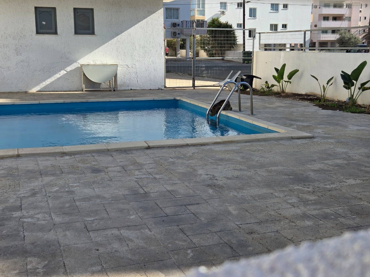 e6b972c9-7347-425c-bdc3-3ed0c7dd6d77