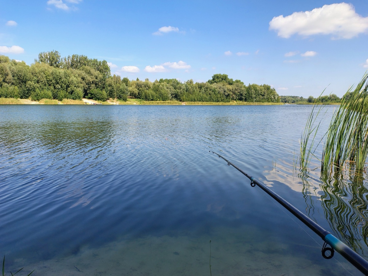 e18366e9-5c29-46dd-8a6e-e1a35b0eccb0