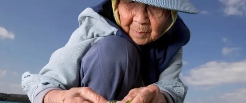 Mieszkańcy Okinawy dożywają ponad 100 lat. Trzymają się pięciu prostych zasad