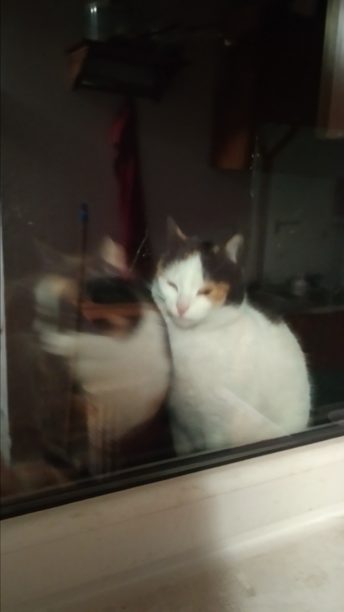 3ccbc9b1-15ab-41ed-8bfe-1229f2854625